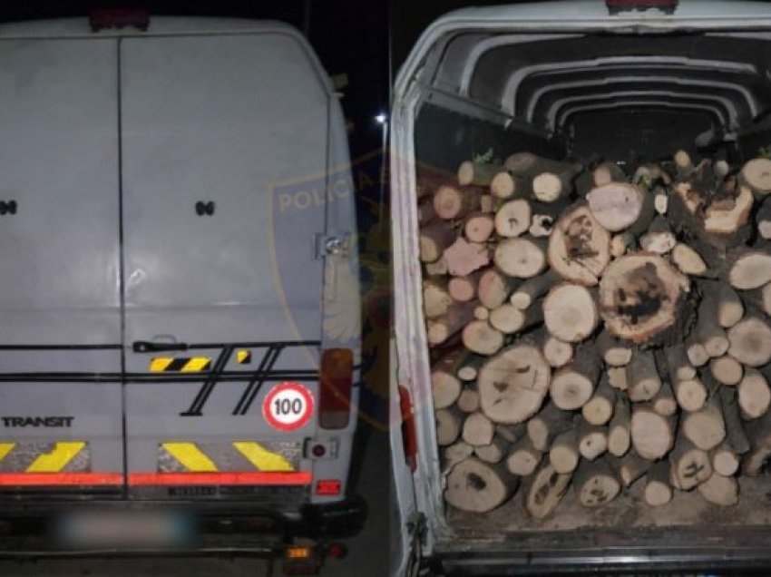 Transportonin dru të prera në mënyrë të paligjshme, dy të proceduar në Durrës