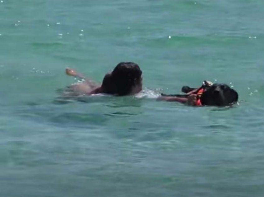 Po rrezikonte të mbytej në det, dy qentë “heronj” shpëtojnë të adoleshenten italiane