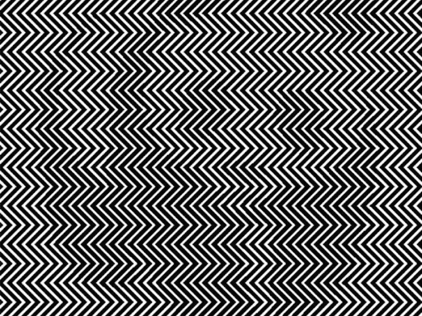 A mund ta shihni kafshën që fshihet në këtë iluzion optik?