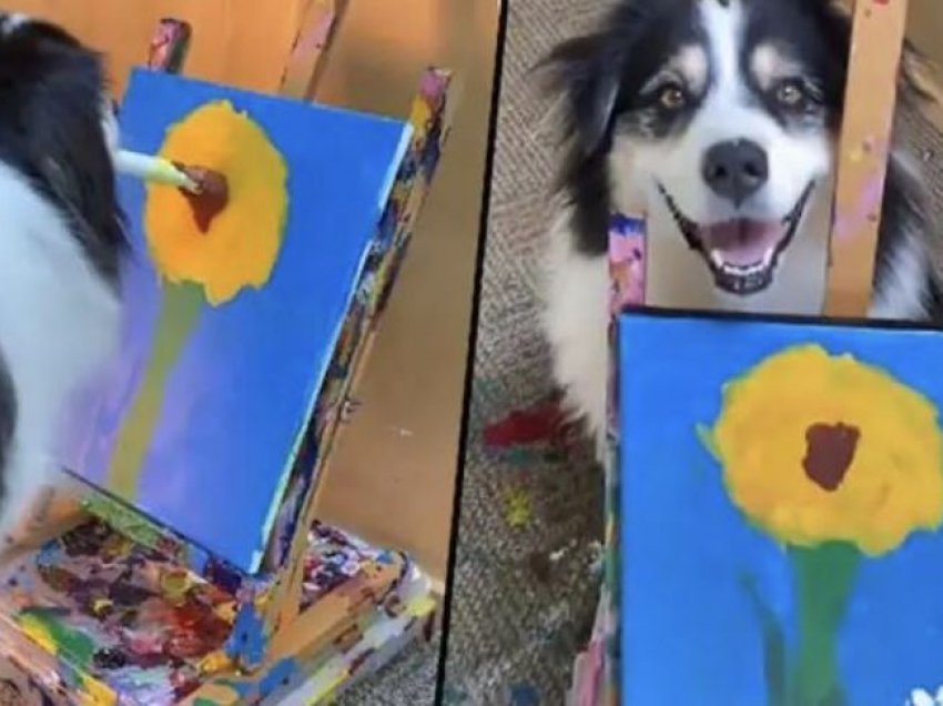 E pabesueshme: Qeni pikturon një lule me penel