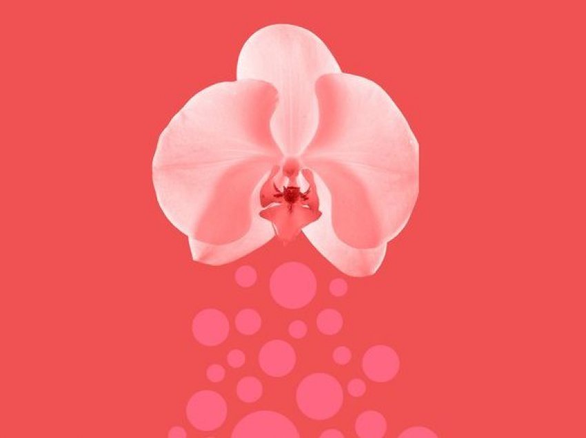 6 arsye pse vagina mban erë të pakëndshme