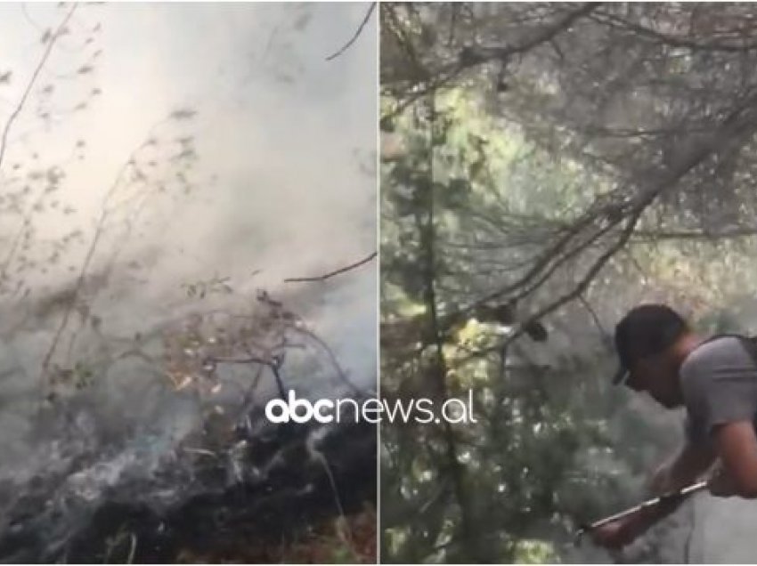 Zjarr i madh në pyllin e Drenies në Fier, mbi 20 zjarrfikës në vendngjarje, flakët rrezikojnë edhe Patosin