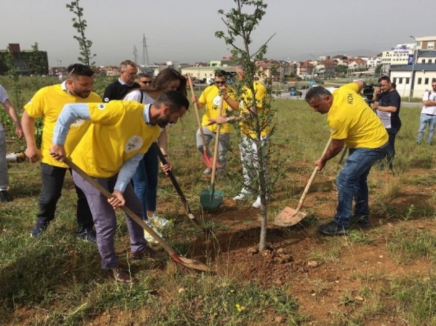 Java Olimpike vijon me mbjelljen e drunjve në Prishtinë
