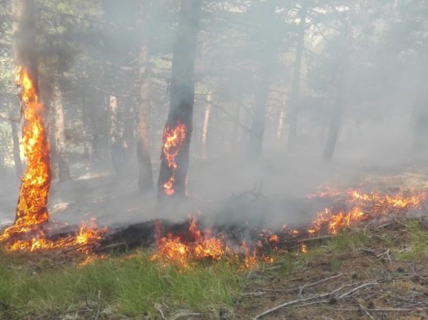 Paralajmërohen zjarre në Shqipëri nga i nxehti afrikan