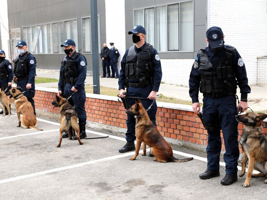 Policia e Kosovës pranoi pesë qen për njësinë ‘K9’ nga UNDP