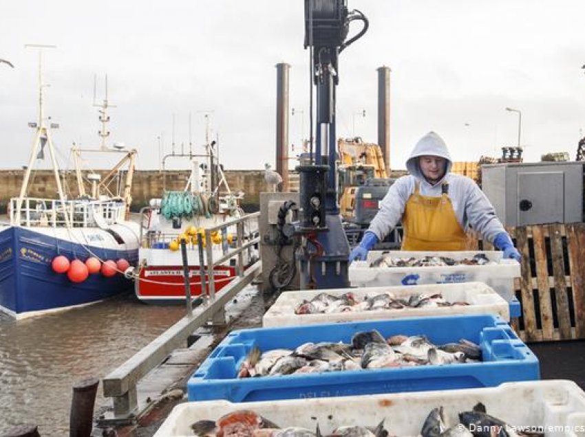 Post-Brexit: Peshkatarët britanikë në gjendje të keqe
