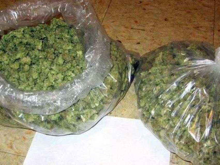 Konfiskohen 17 kilogramë drogë të llojit marihuanë, arrestohen dy zyrtarë të Prokurimit