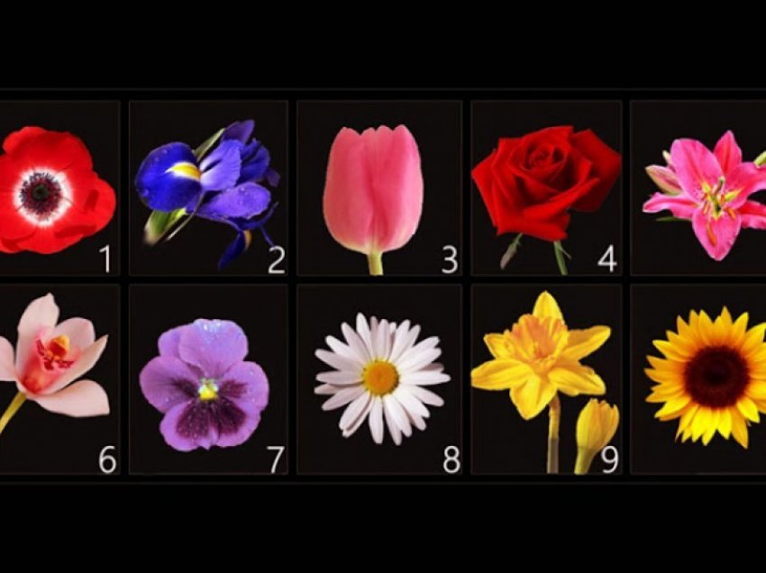 Test psikologjik: Zgjidhni një lule dhe zbuloni anën e fshehtë të personalitetit tuaj