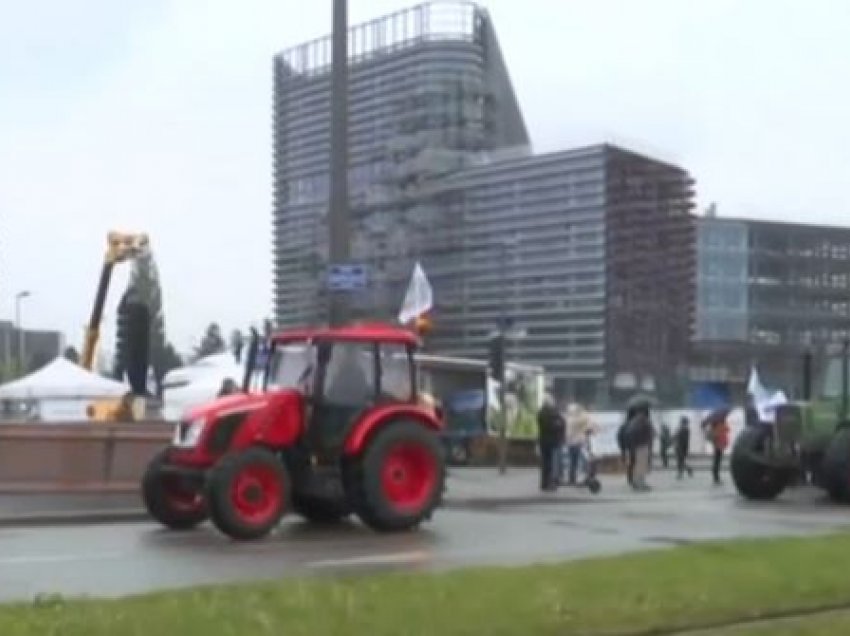Protesta e fermerëve, kërkojnë më shumë siguri e mbrojtje përpara planeve ekologjike të BE-së