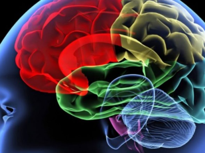 Plakja e trurit dhe pesë mënyrat për ta parandaluar rrezikun