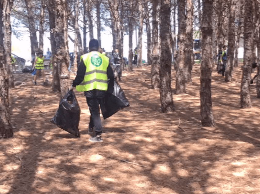 Pastrohet Velipoja/ Të rinjtë aksion pastrimi në pyllin pranë detit