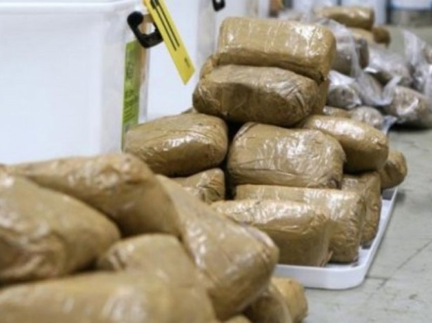 Konfiskimi i drogave gjatë vitit të kaluar në Kosovë, në mesin e tyre edhe narkotikë në formë kërpudhe