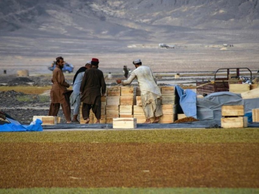 Talibanët vendosin taksa 'bamirësie' për fermerët që kanë nevojë për ndihmë