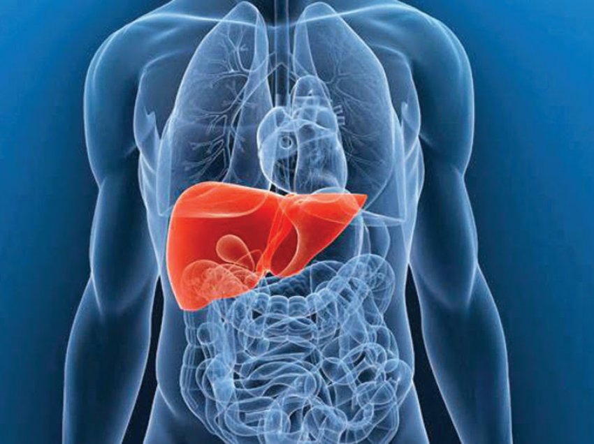 Shenjat që jep mëlçia kur niveli i toksinave në trup është shumë i lartë