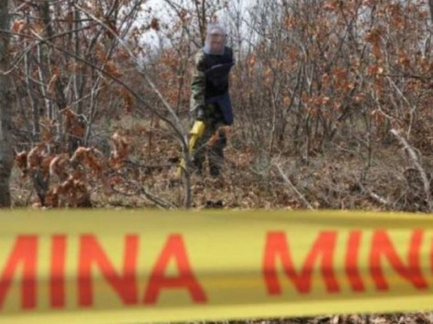 Gjakovë: Në pyll gjenden 70 copë mina E-3 të pashpërthyera