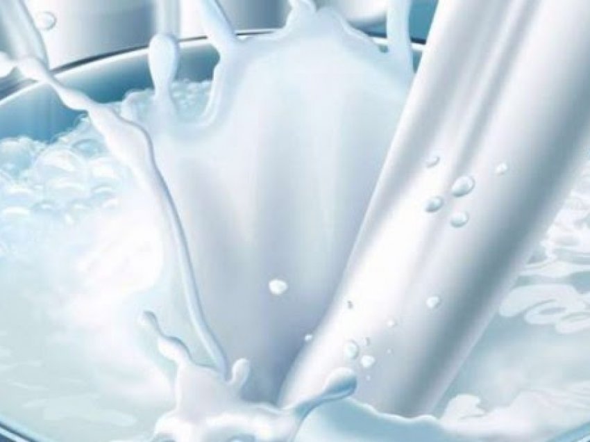 ​Kriteret për subvencionim të qumështit, SHPQK del me kërkesë për Ministrinë e Bujqësisë