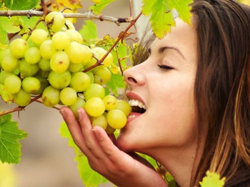 10 arsye pse rrushi është i mirë për njeriun