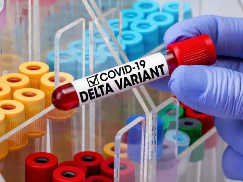 Cili është ndryshimi midis testeve të shpejta të COVID-19 dhe atyre PCR?