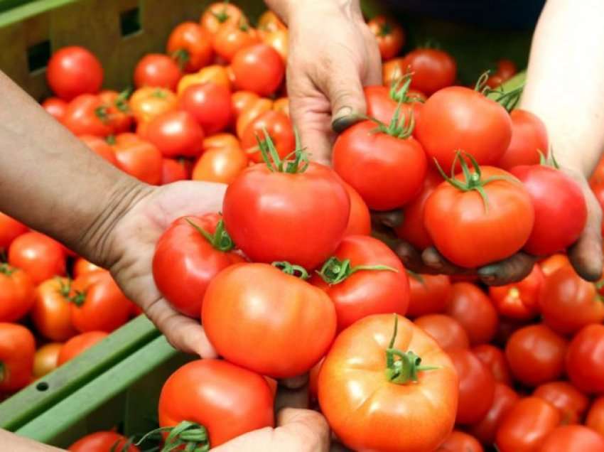 Si t’i dalloni domatet organike? – Faktet që duhet t’i dini