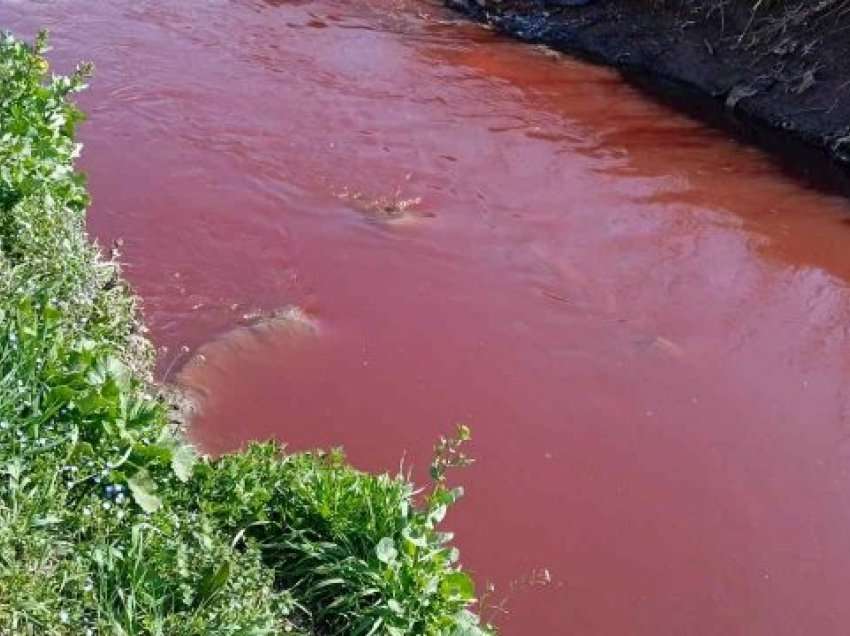 E tmerrshme/ Lumi në fshatin e Gjilanit mbushet me gjak