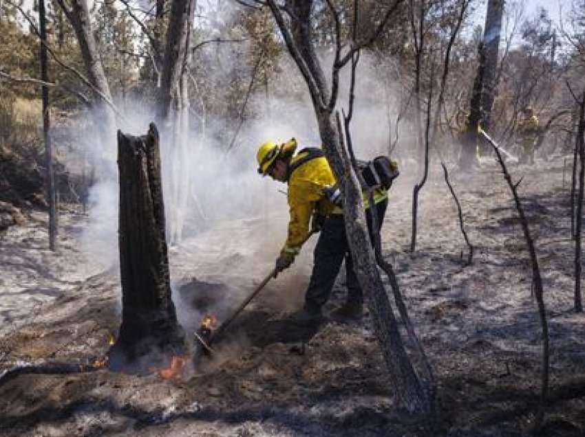 SHBA, zjarri masiv në Kaliforni, 8000 njerëz në rrezik për jetën, urdhërohet evakuimi