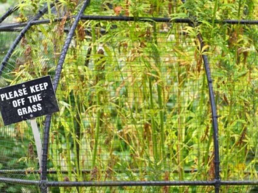 Hap dyert për publikun kopshti më vdekjeprurës në botë