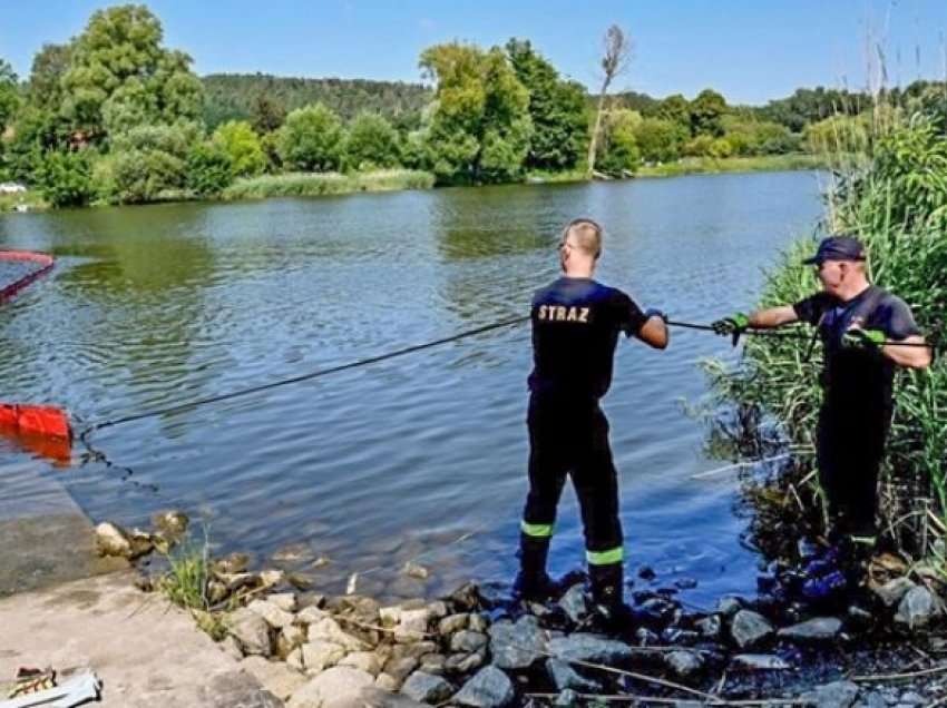 Zjarrfikësit polakë nxorrën 100 tonë peshq të ngordhur nga një lumë