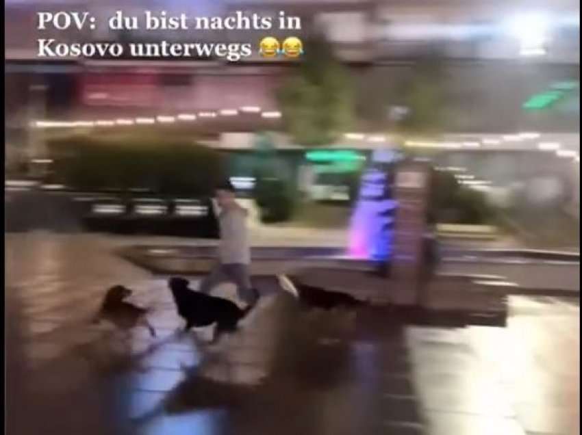 Pamje tmerruese: Një person ndiqet nga një tufë e qenve në sheshin e Prishtinës