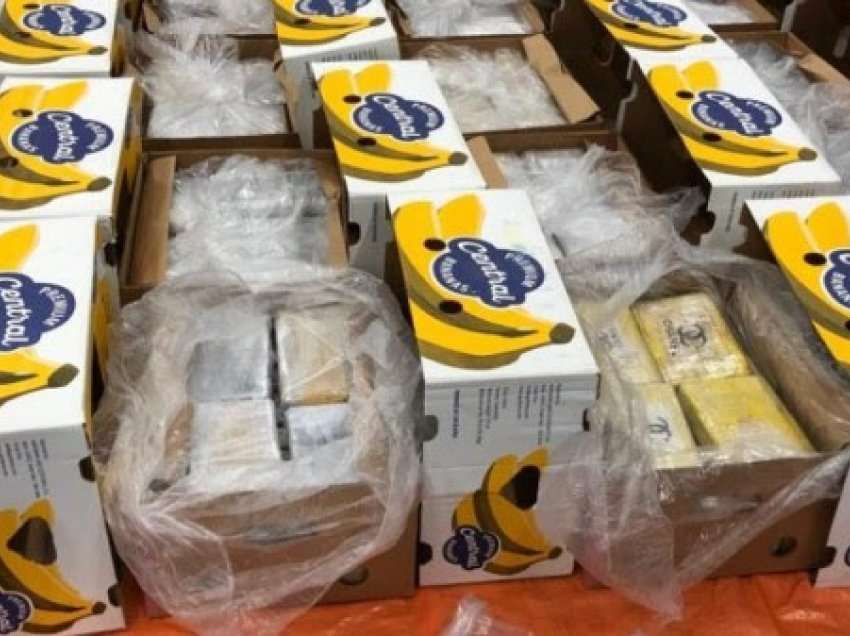​Sekuestrohen 1,3 tonë kokainë e fshehur mes bananeve në Holandë