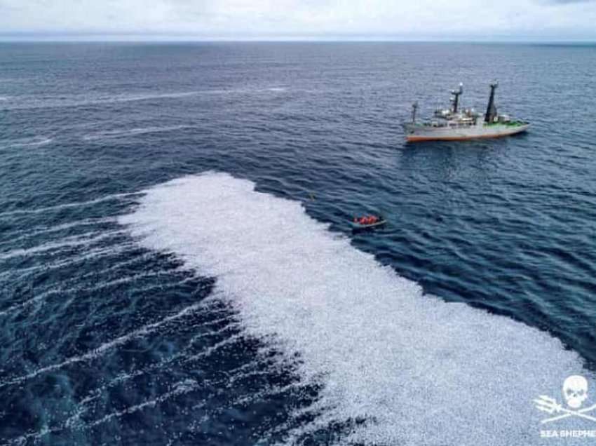 Tronditje! Anija e dytë më e madhe e peshkimit në botë, hedh 100.000 peshq të ngordhur