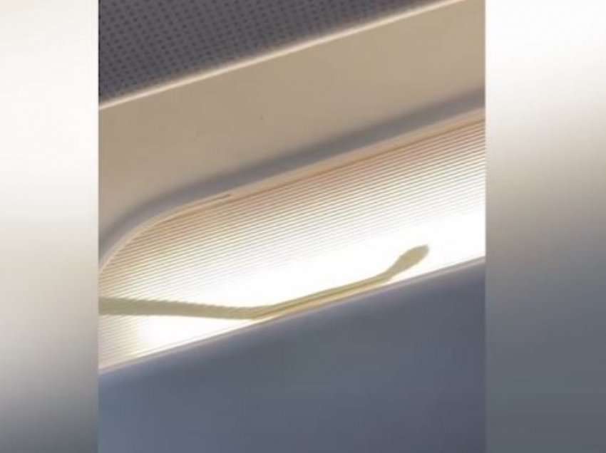 Incident i rrallë: Aeroplani bën ulje emergjente, brenda tij u pa një gjarpër