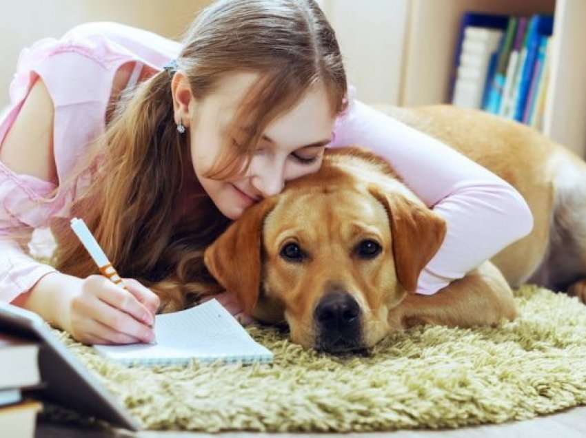 Studimet e fundit kanë treguar: Përkëdhelja e një qeni përmirëson aftësitë e të menduarit