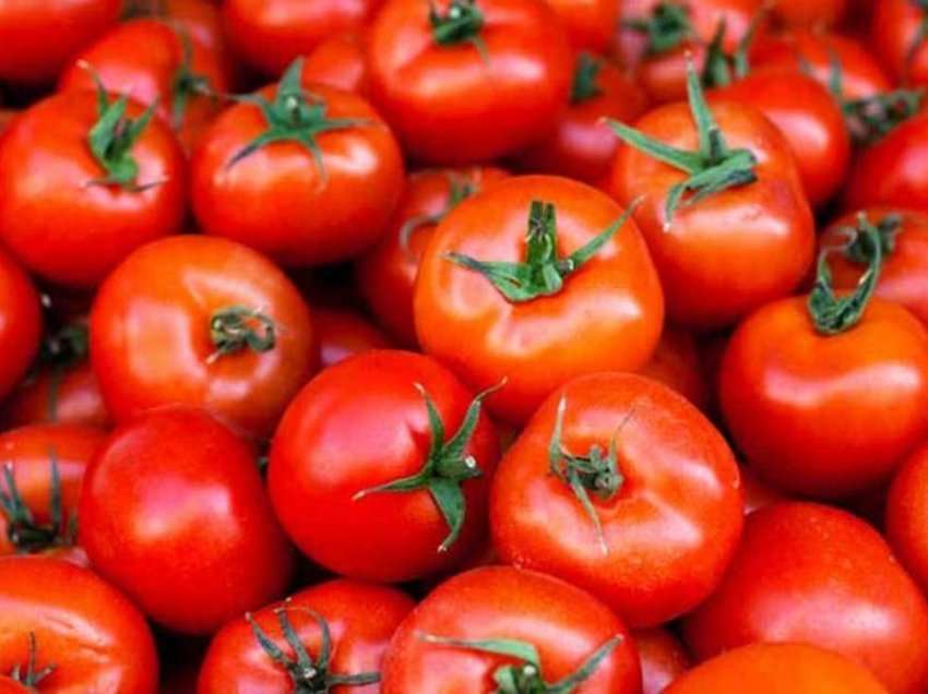 Dobitë nga domatet, 5 arsye pse duhet të hani çdo ditë