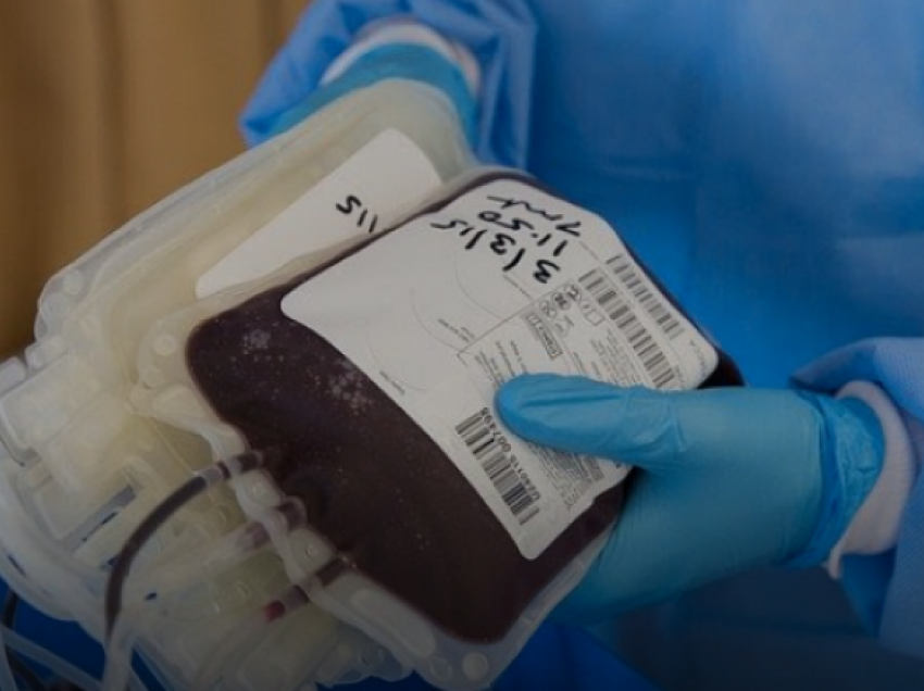 Tetovarët vitin e kaluar kanë dhuruar 2.477 njësi gjaku