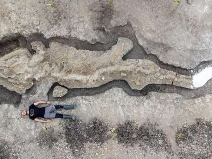 Dhjetë metra i gjatë dhe me kafkë një ton, zbulohet fosili gjigant i një Ihtiozauri