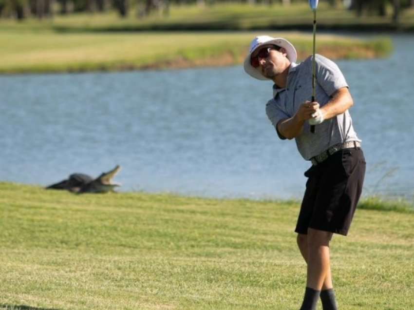 Kur luan golf me aligatorin gojëhapur pas shpine!