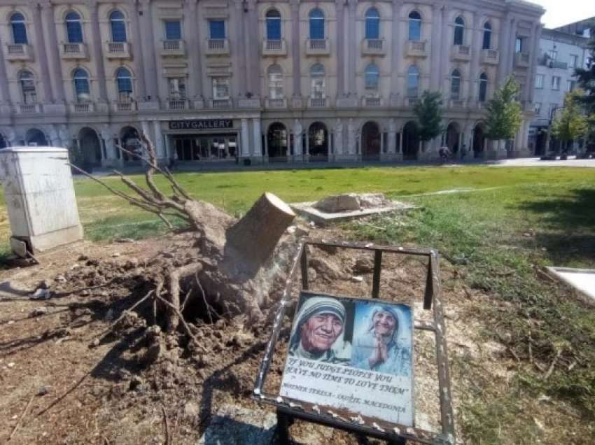 ​Dëmtohet bredhi i Nënës Terezës në Shkup