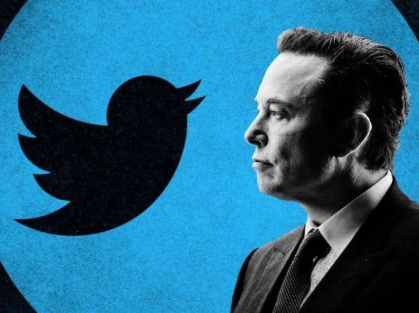 Elon Musk sfidon Twitter-in: Debat publik mbi llogaritë e rreme