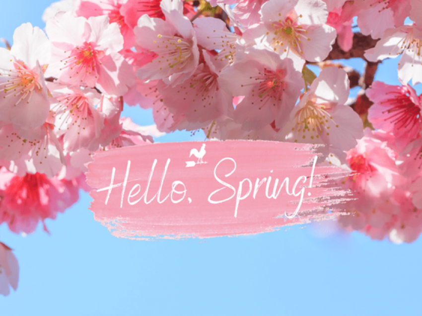 Nuk është 1 marsi, si përcaktohet dita e parë e pranverës?