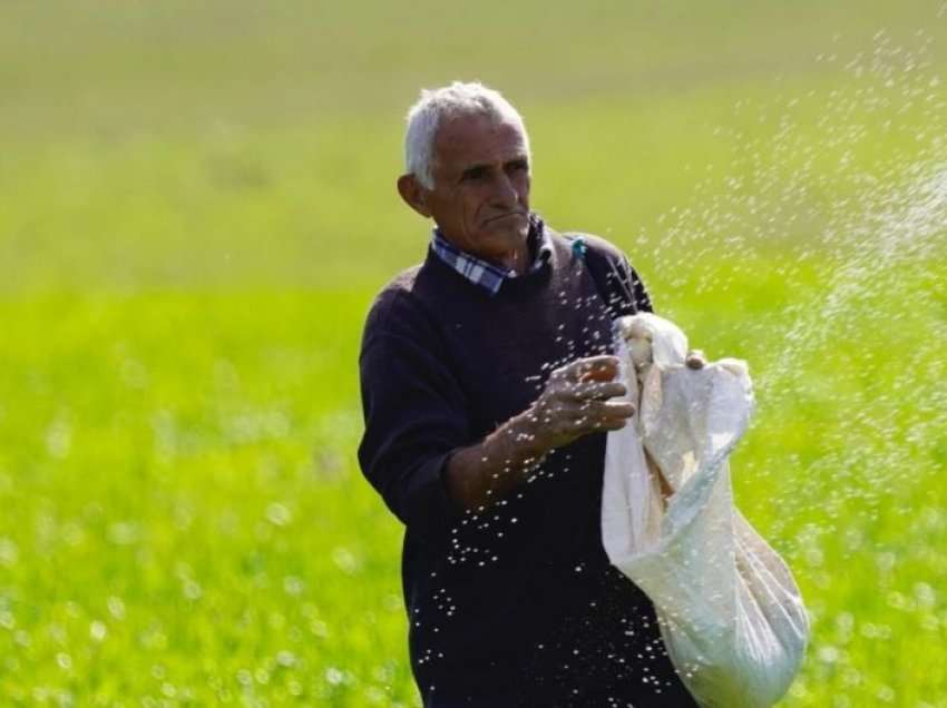 Sfidat e fermerëve shqiptar për prodhimin e drithërave