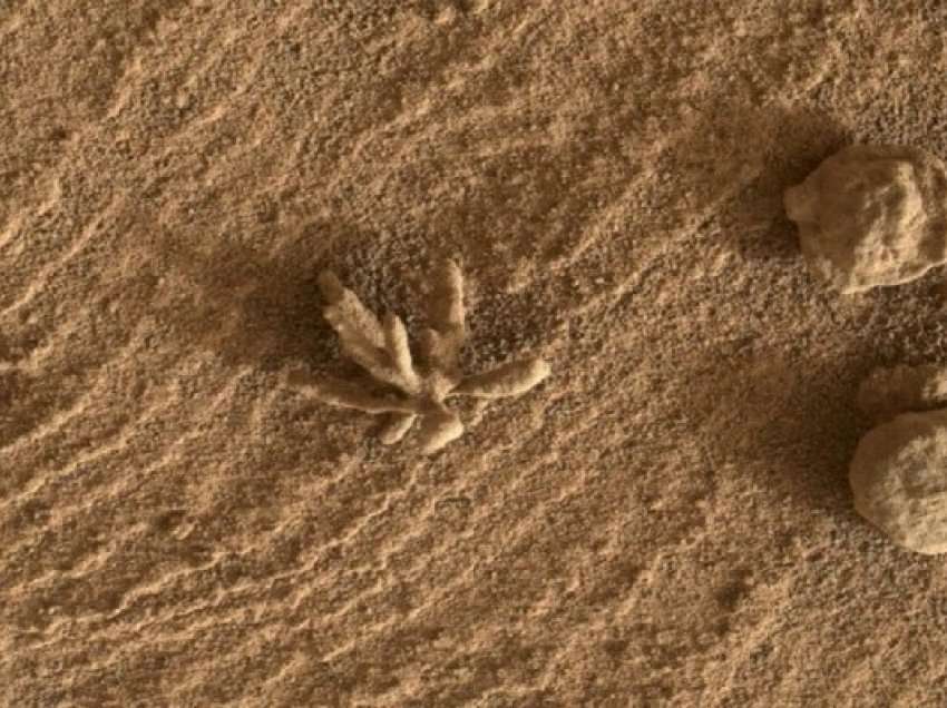 Curiosity filmon një “lule guri” në Mars - çfarë është ajo?