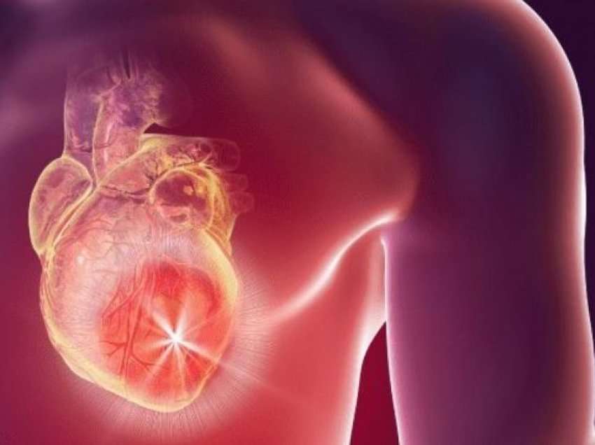 A keni menduar ndonjëherë pse kanceri nuk prek zemrën?