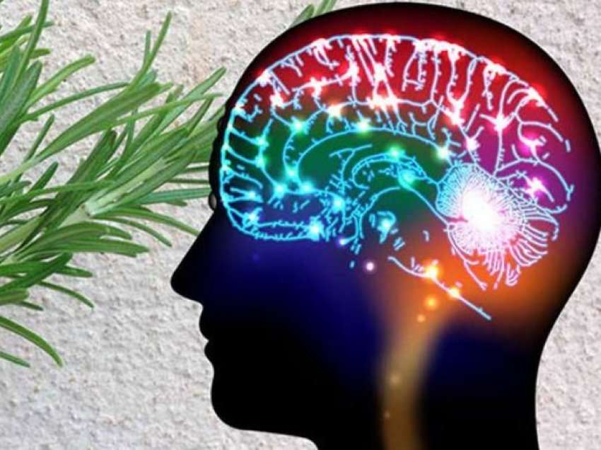 Ilaçi i trurit, kush janë 4 erëzat e fuqishme që ju mbrojnë nga depresioni dhe humbja e kujtesës