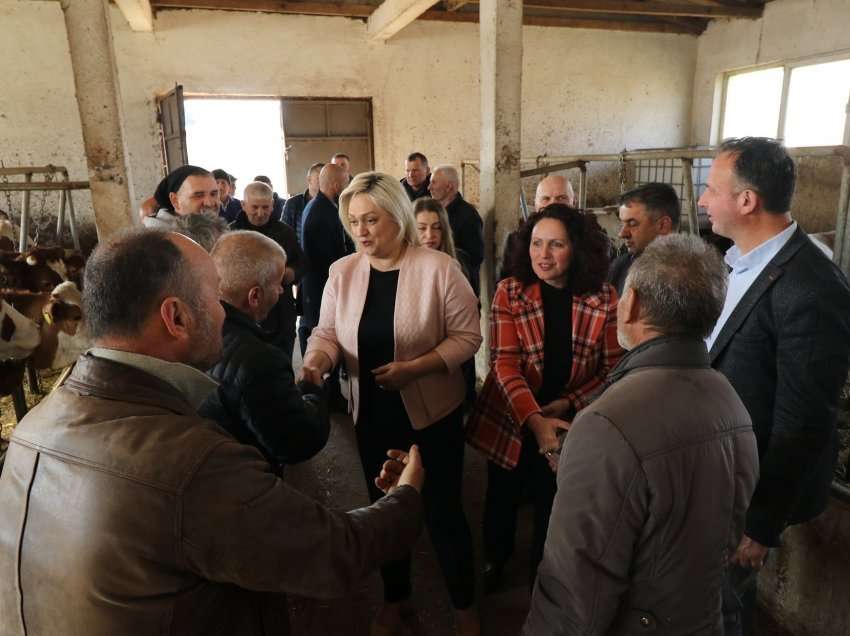 Komuna e Gjilanit shpërndan gjashtë gjedhe të racës simental për fermerët, donacion i shkollës së agrobiznesit
