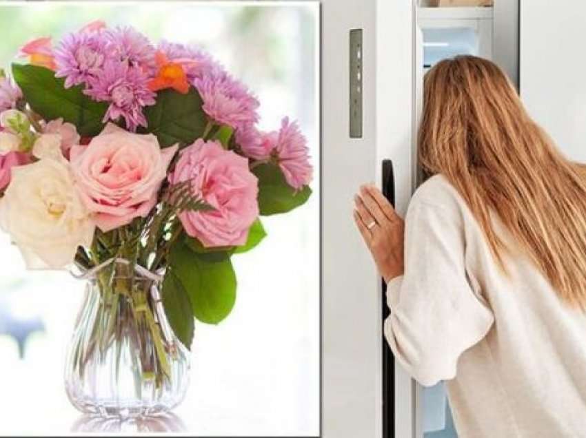 Mënyra më e mirë për t’i bërë lulet e prera të zgjasin më shumë është qëndrimi gjatë natës në frigorifer