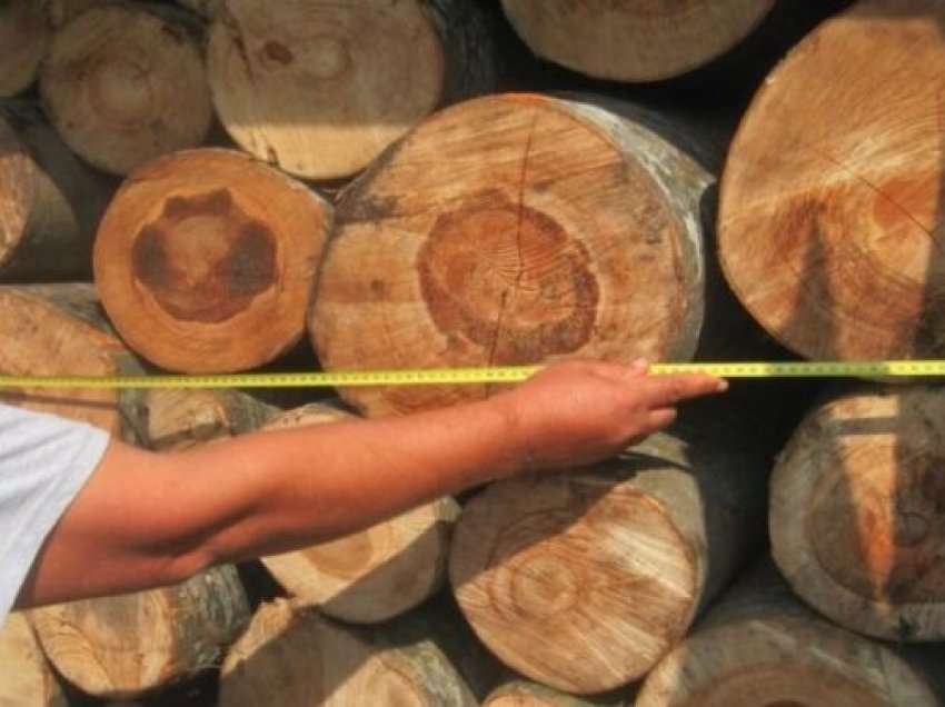Lipjanasi vodhi 5 metra dru, dënohet me 400 euro nga Gjykata