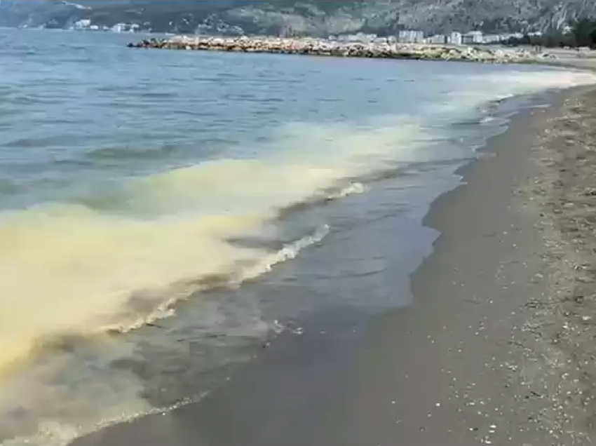 E pazakontë: Bregdeti në Shëngjin mbulohet nga pluhuri i verdhë