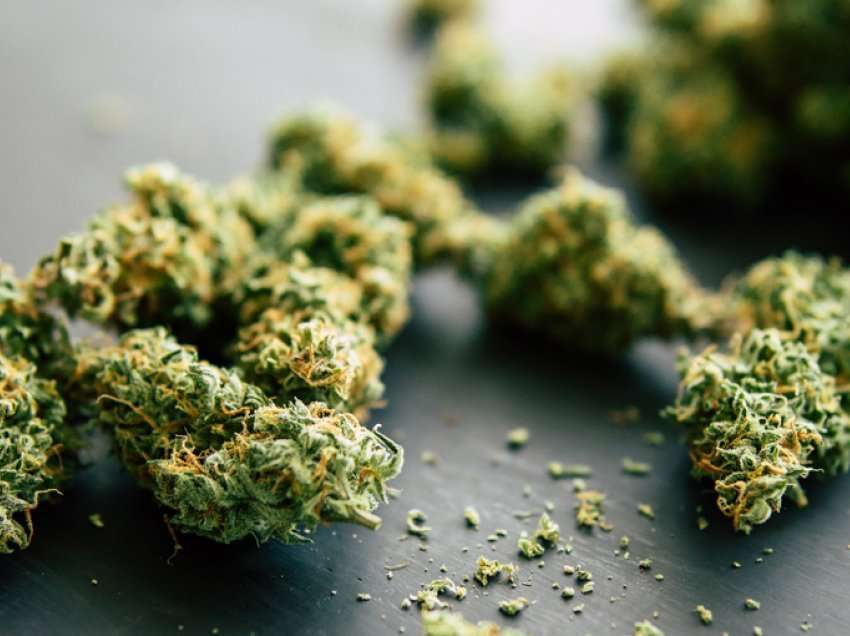 Gjenden mbi 400 gramë marihuanë në Gjilan