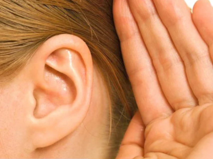 Arsyet e çuditshme të zhurmës në vesh – Problemet me organizmin
