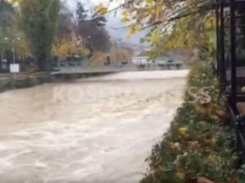 ​Reshjet e shiut, tri kanale rrezikojnë të dalin nga shtrati në Pejë